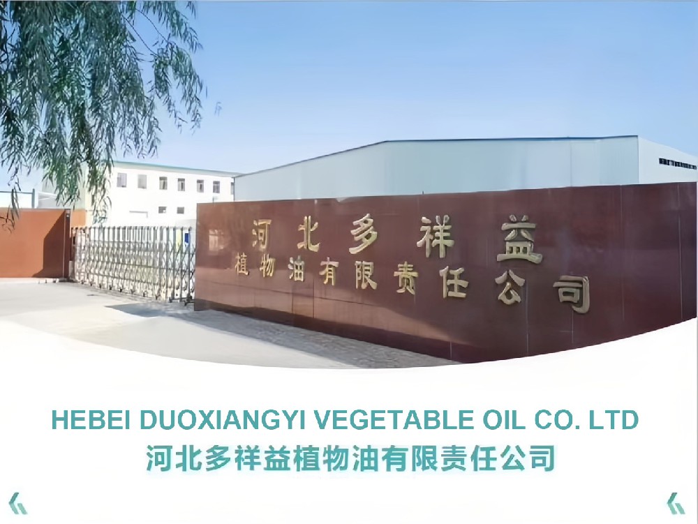 Hebei Duoxiangyi Modern Food Industrial Park Project